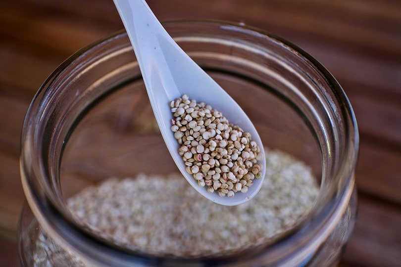 quinoa seeds on a plastic spoon