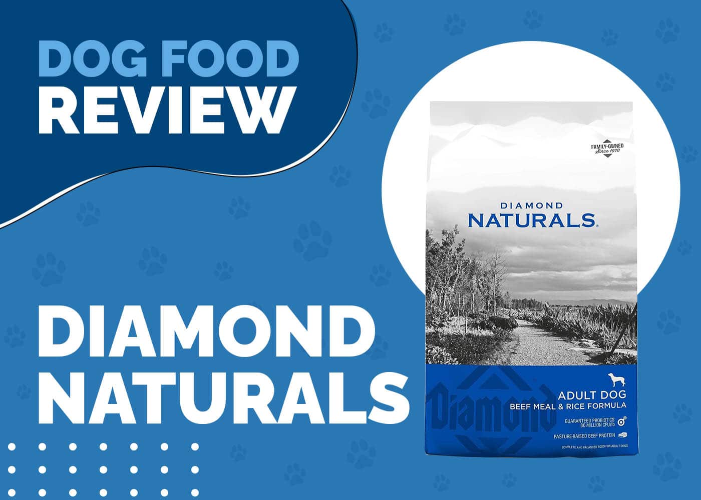 Diamond Naturals Dog Food Review