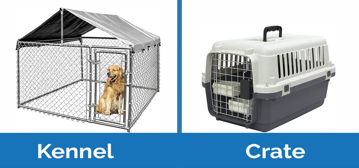 kennel vs crate side by side