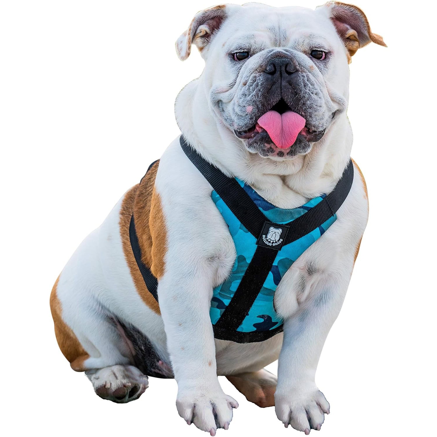 Bulldog Grade Harness