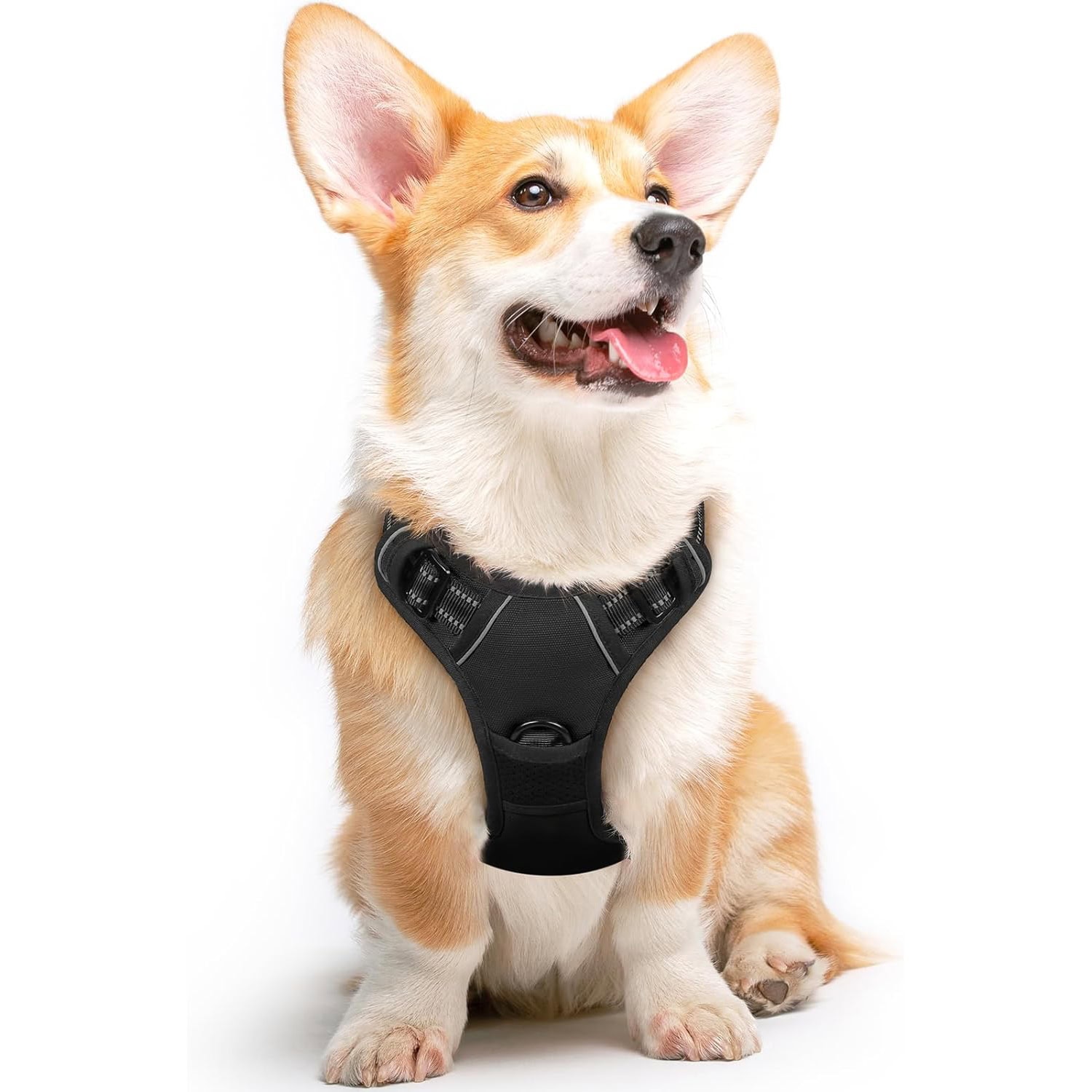 Eagloo Dog Harness