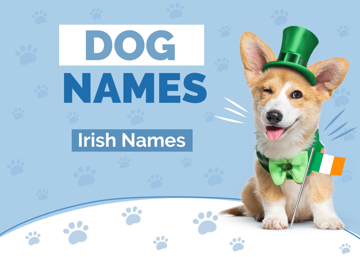 Irish Dog Names