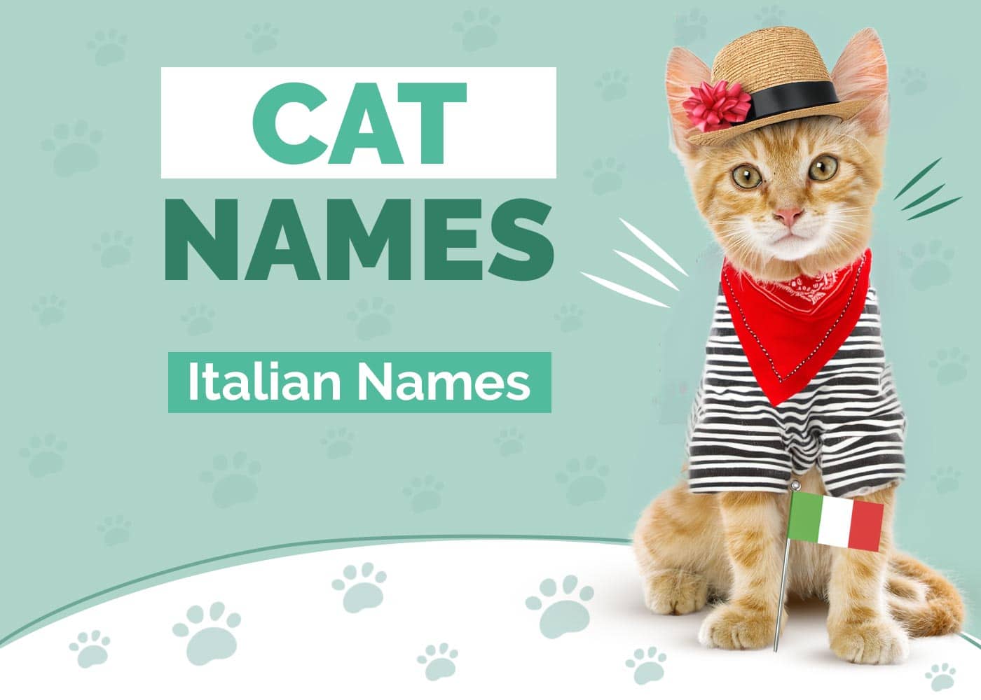 Italian Cat Names