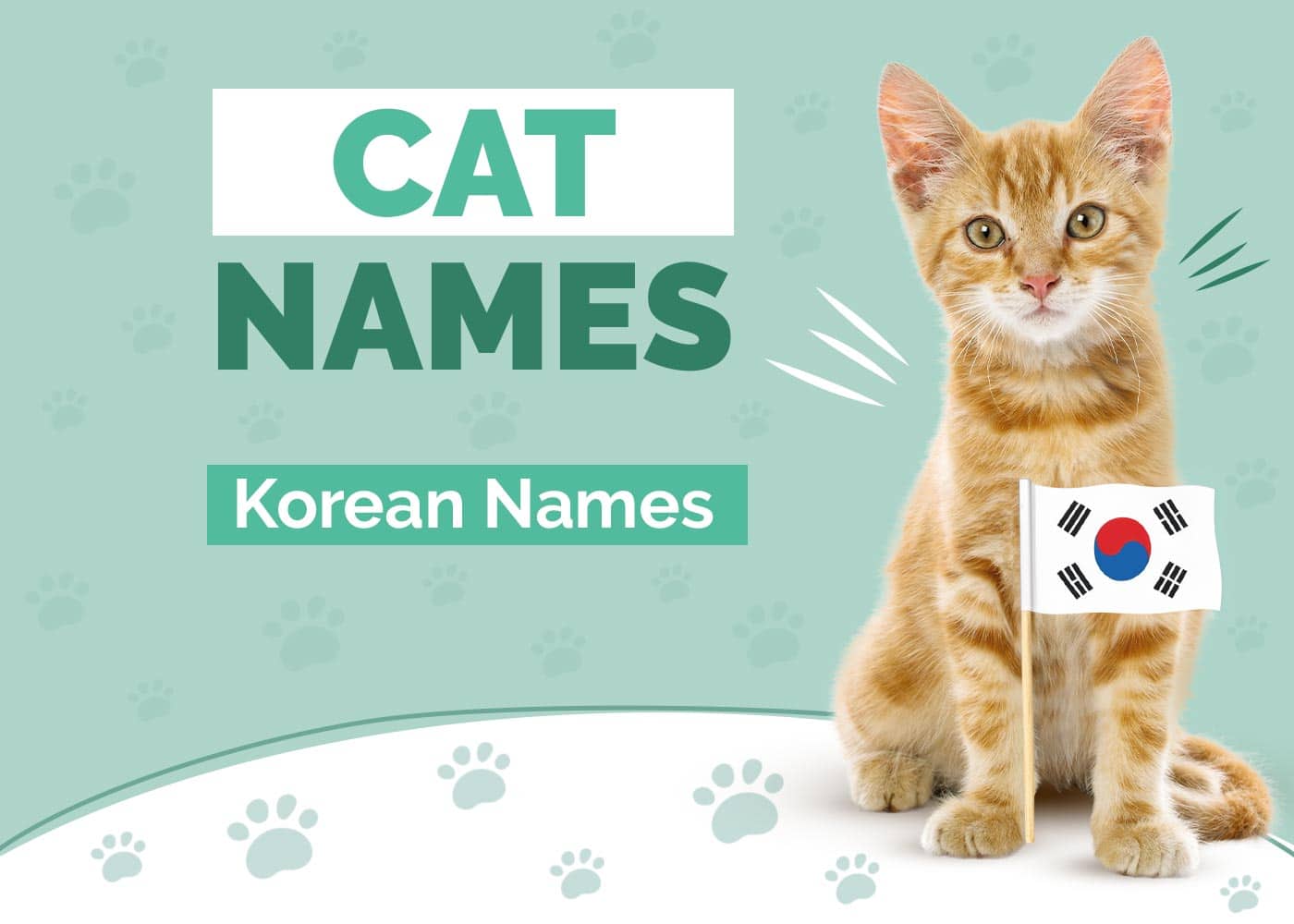Korean Names For Cats