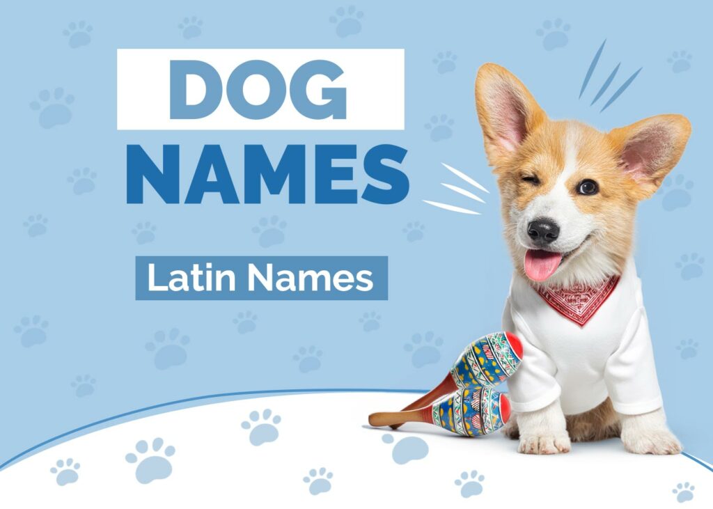 Latin Dog Names
