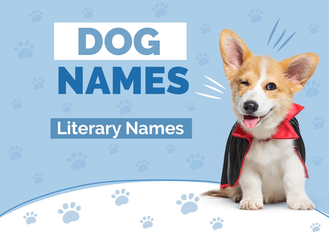 Literary Dog Names