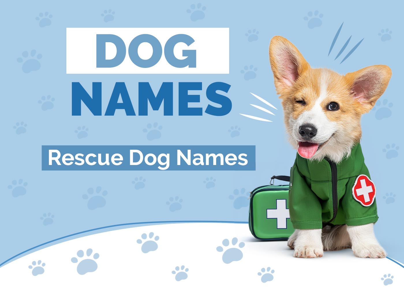 Rescue Dog Names
