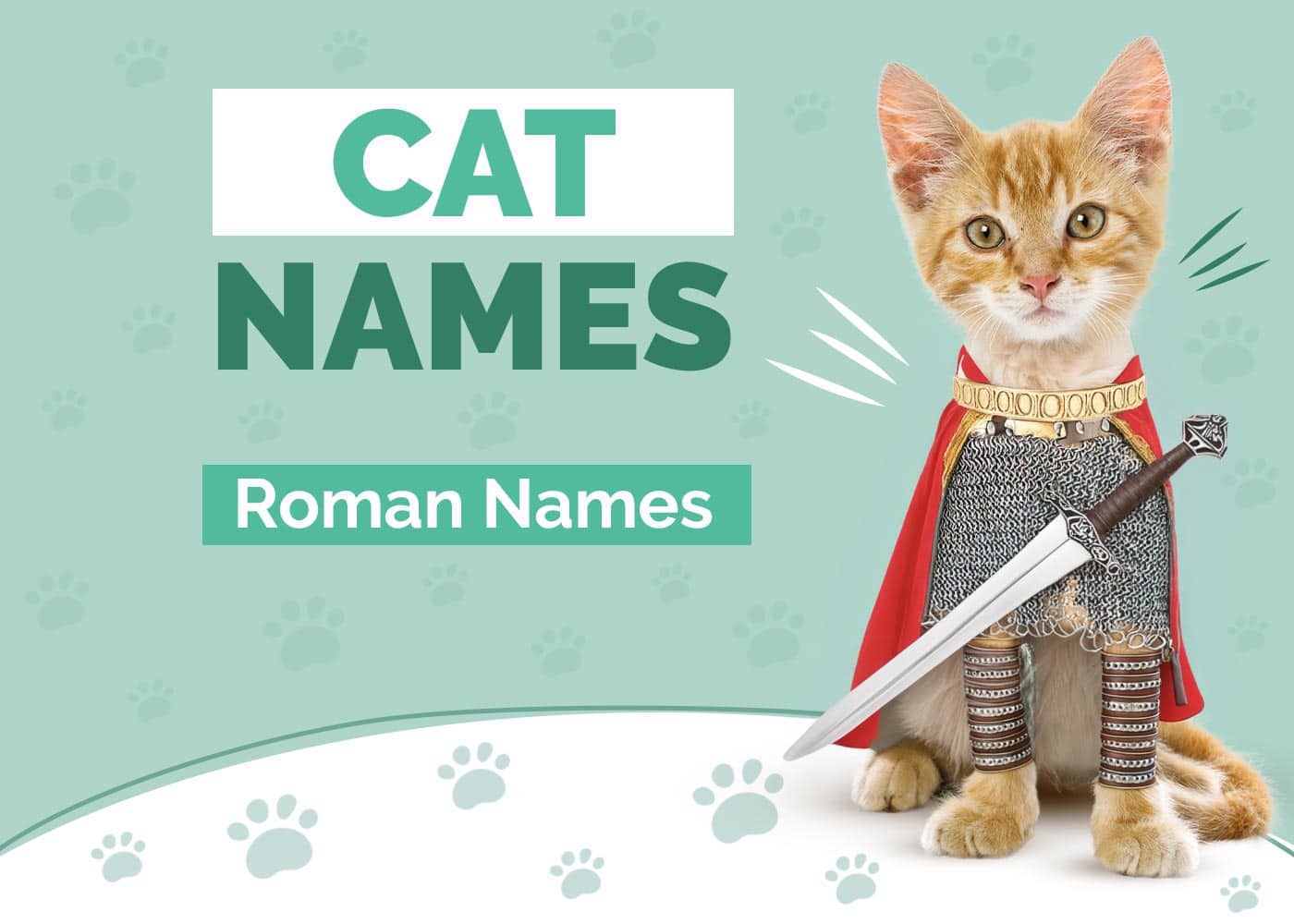 Roman Cat Names for Your Gladiator Pet