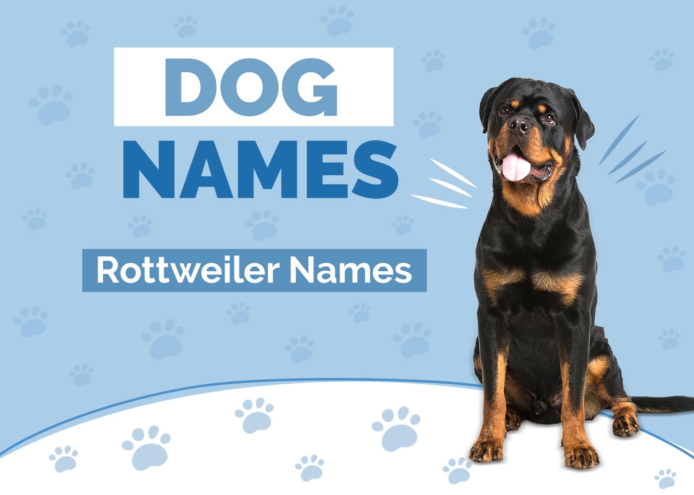Rottweiler Names