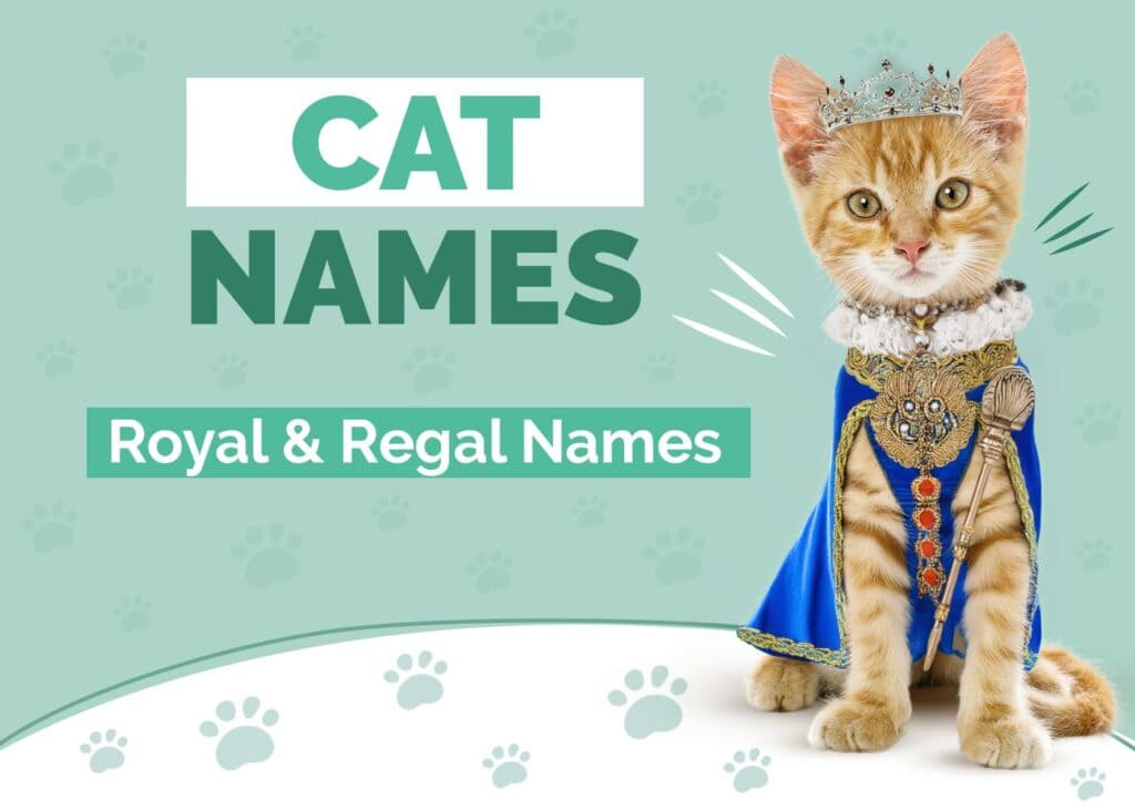 Royal and Regal Cat Names