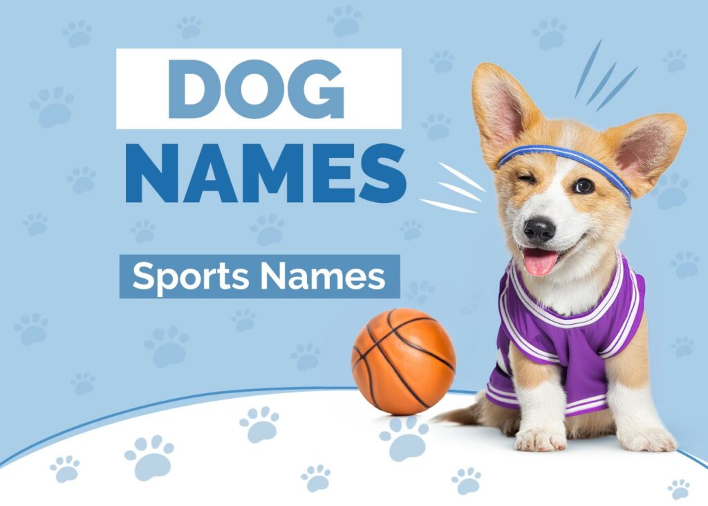 Sports Dog Names