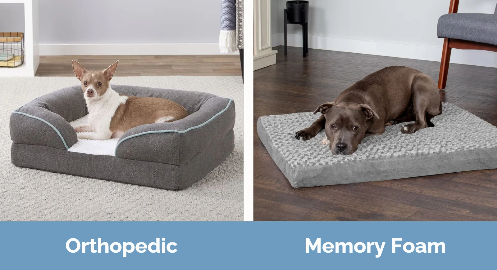Orthopedic vs Memory Foam Dog Beds - Visual Differences