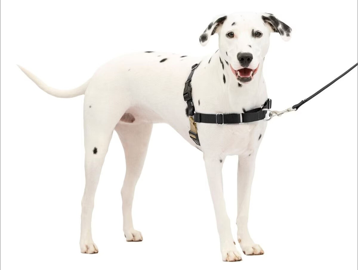 PetSafe Easy Walk Dog Harness