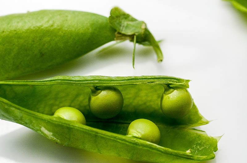 peeled snap peas up close
