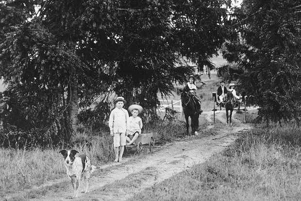 Halls Heeler extinct dog in old photograph of Tracksons