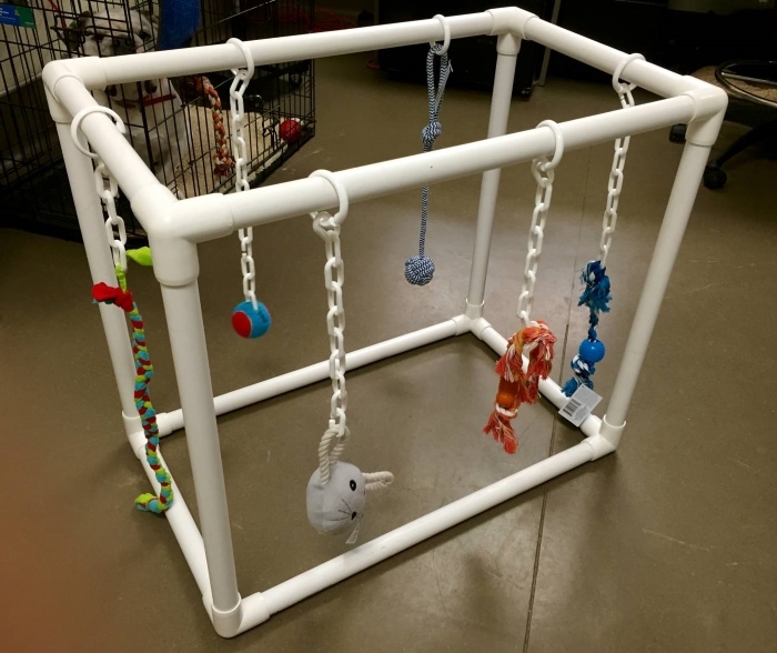 PVC Puppy Play Gym by PVC Fittings Online