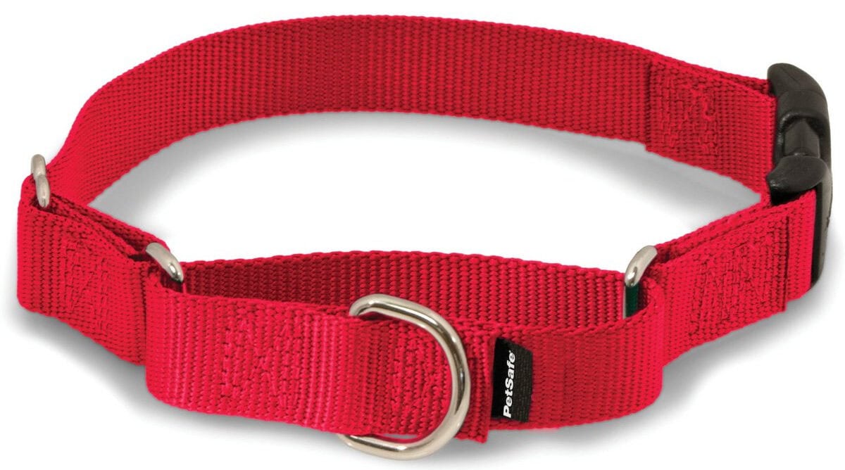 PetSafe Quick Snap Buckle Nylon Martingale Dog Collar