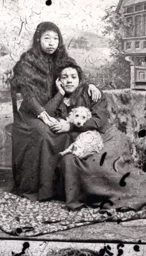 salish wooly dog extinct breed photograph
