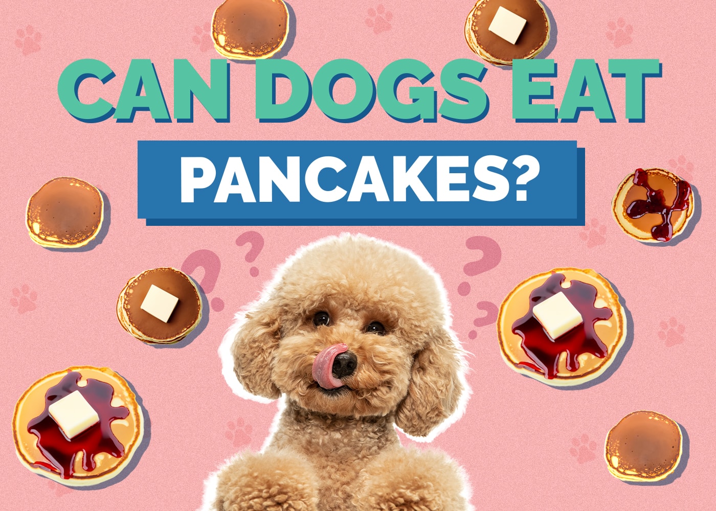 Can Dogs Eat pancakes