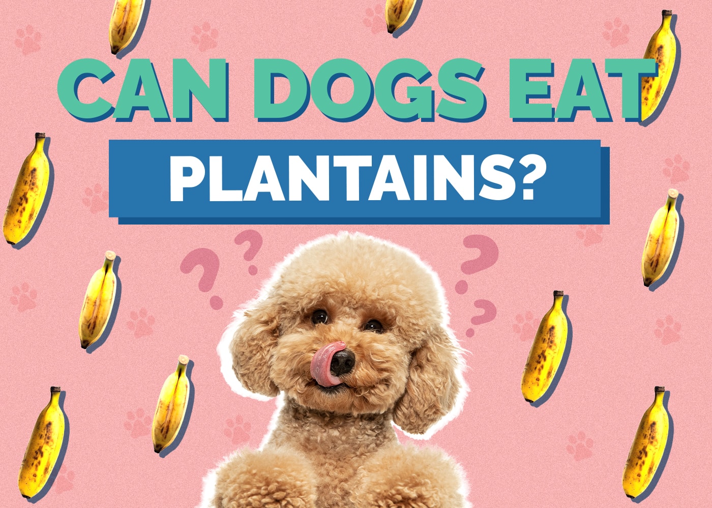 Can Dogs Eat plantains