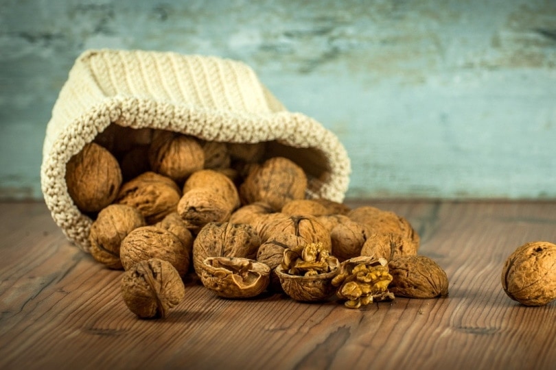 A bag of walnuts on a table