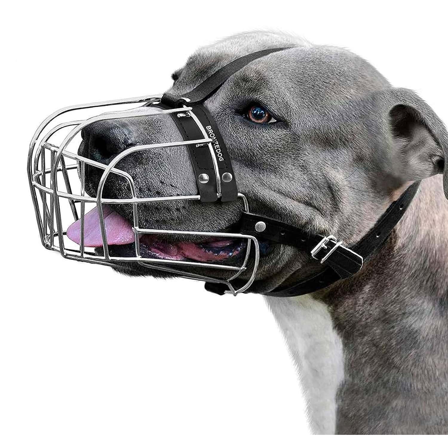 BRONZEDOG Pitbull Dog Muzzle Metal Mask