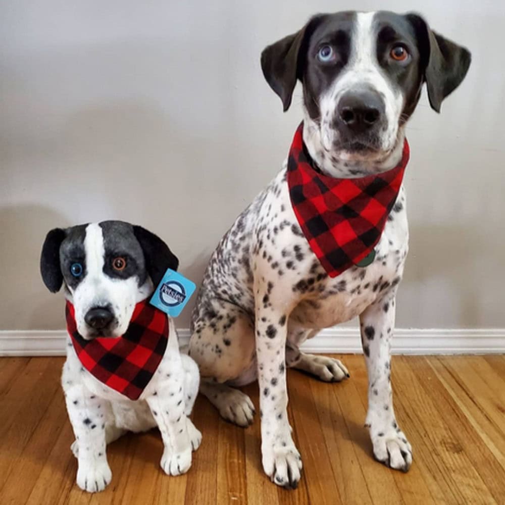 Cuddle Clones Custom Stuffed Animal