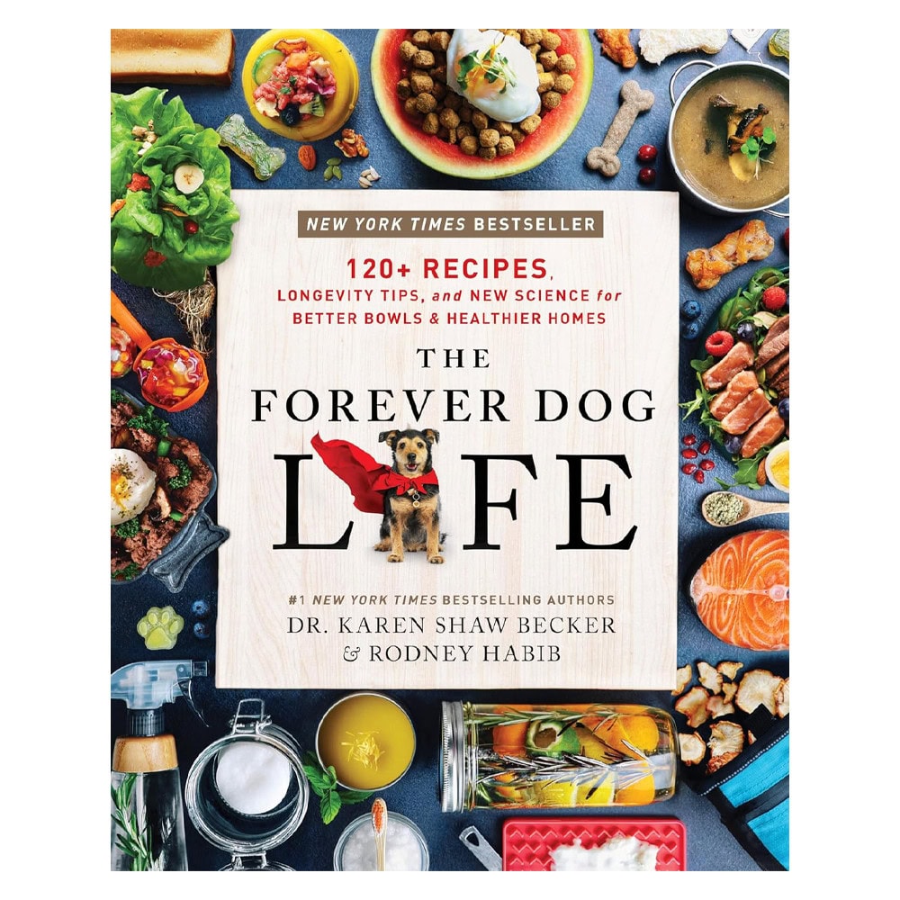 Forever Dog Life