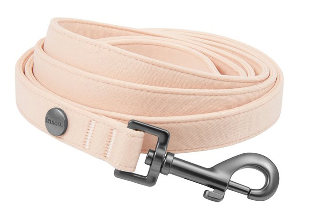 Frisco Comfort Padded Dog Leash