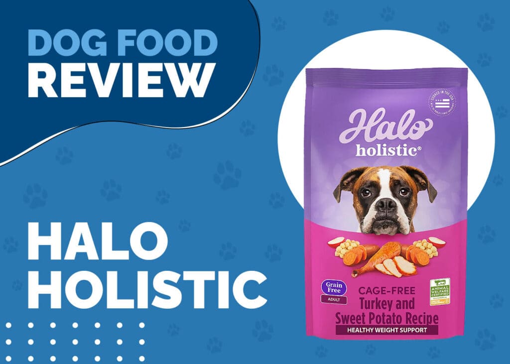 Halo Holistic Dog Food Review