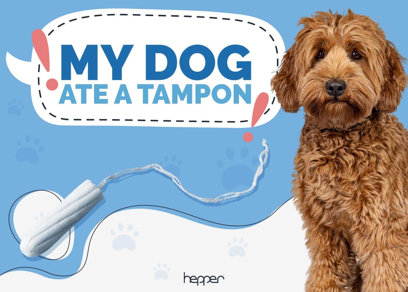 My Dog Ate a Tampon