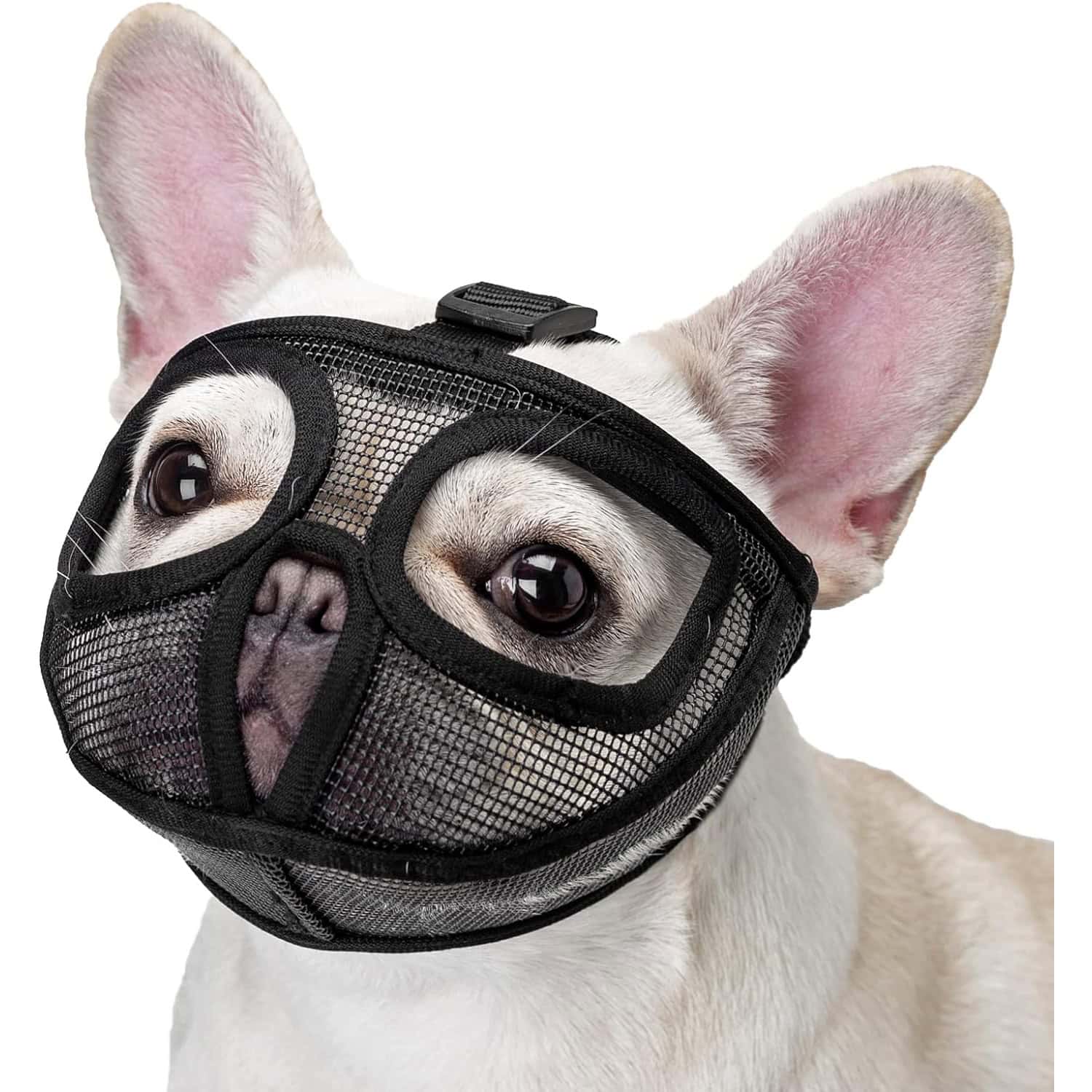 OHCOZZY Short Snout Dog Muzzle