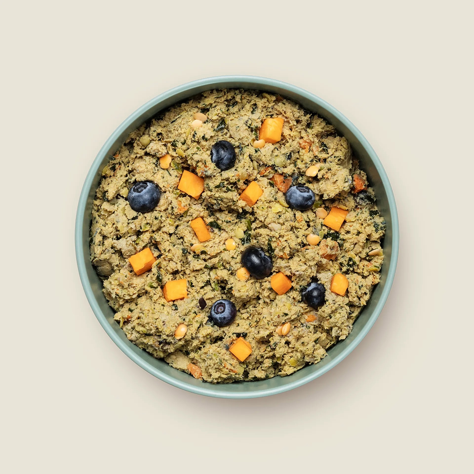 Ollie Fresh Dog Food Subscription