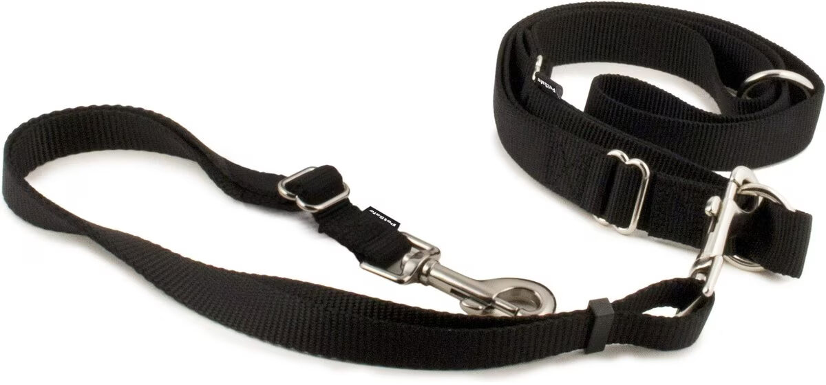 PetSafe Hands-Free Dog Leash