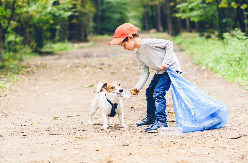 dog wearing harness chewing on plastic water bottle with little kid