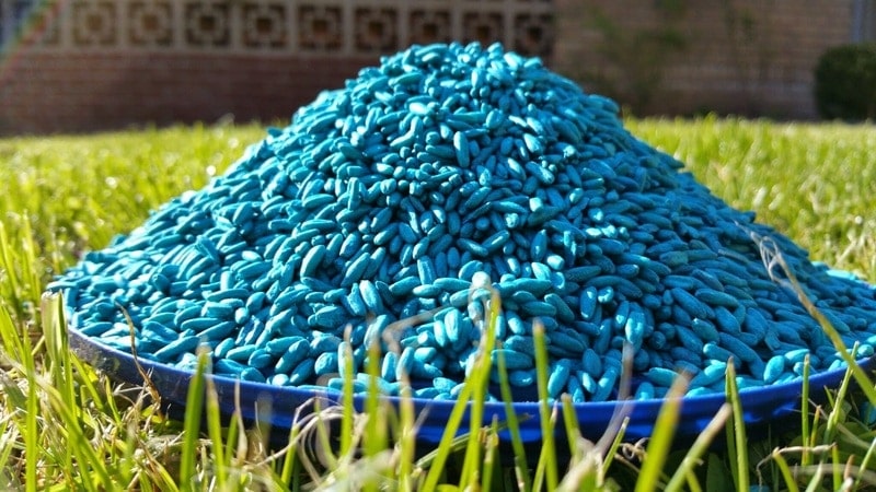 rat poison in a pile on grass
