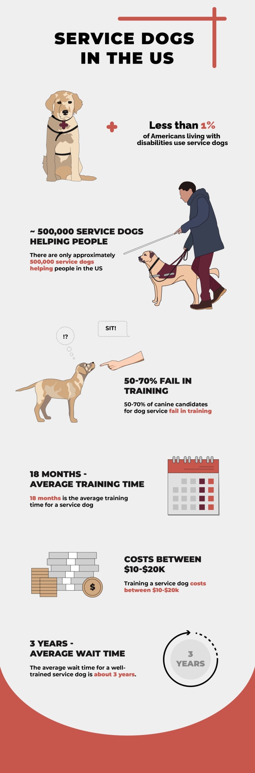 service dog infographic new
