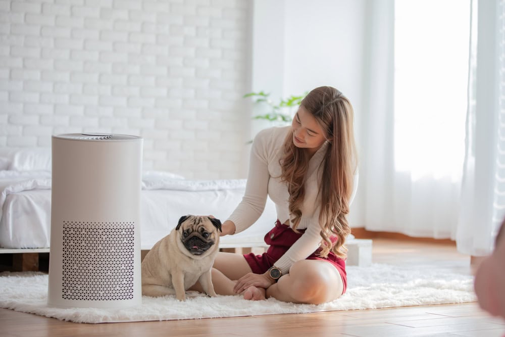 woman with pug dog near air purifier