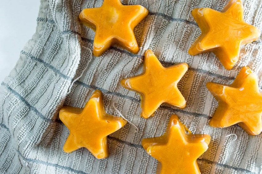 Allergy friendly frozen dog treat