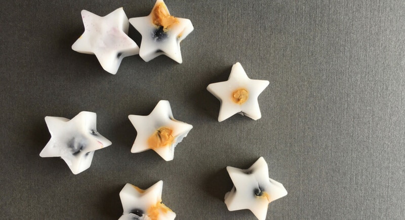 Brain Boosters Frozen Dog Treats