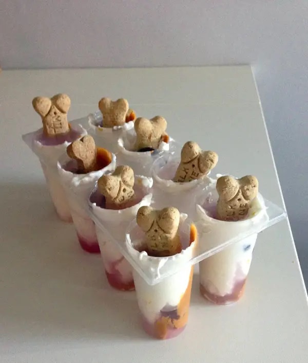 Fancy pup sicles dog treats