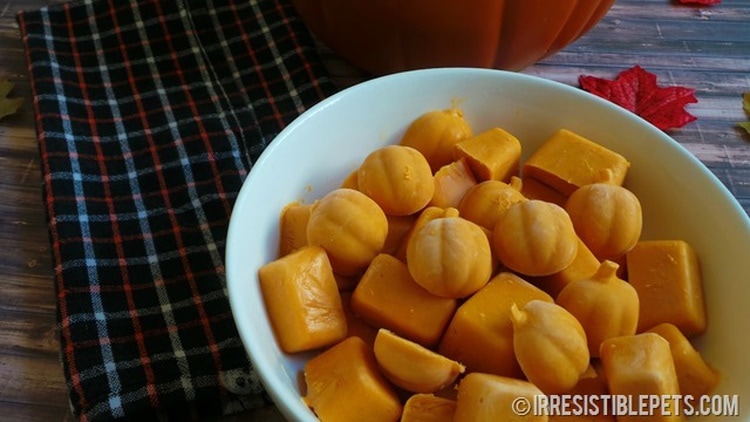 Frozen Pumpkin Spice Dog Treats