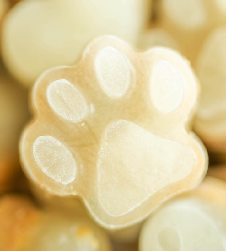 Frozen dog treats