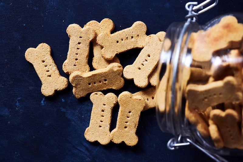 Grain free salmon pumpkin dog treat