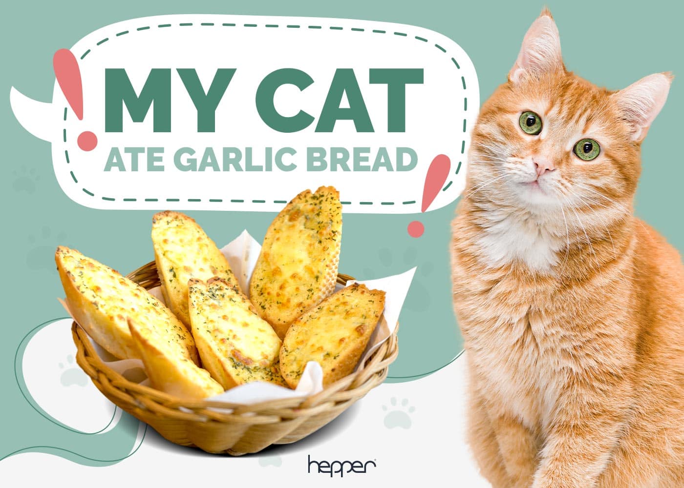 My Cat Ate Garlic Bread, What Should I Do