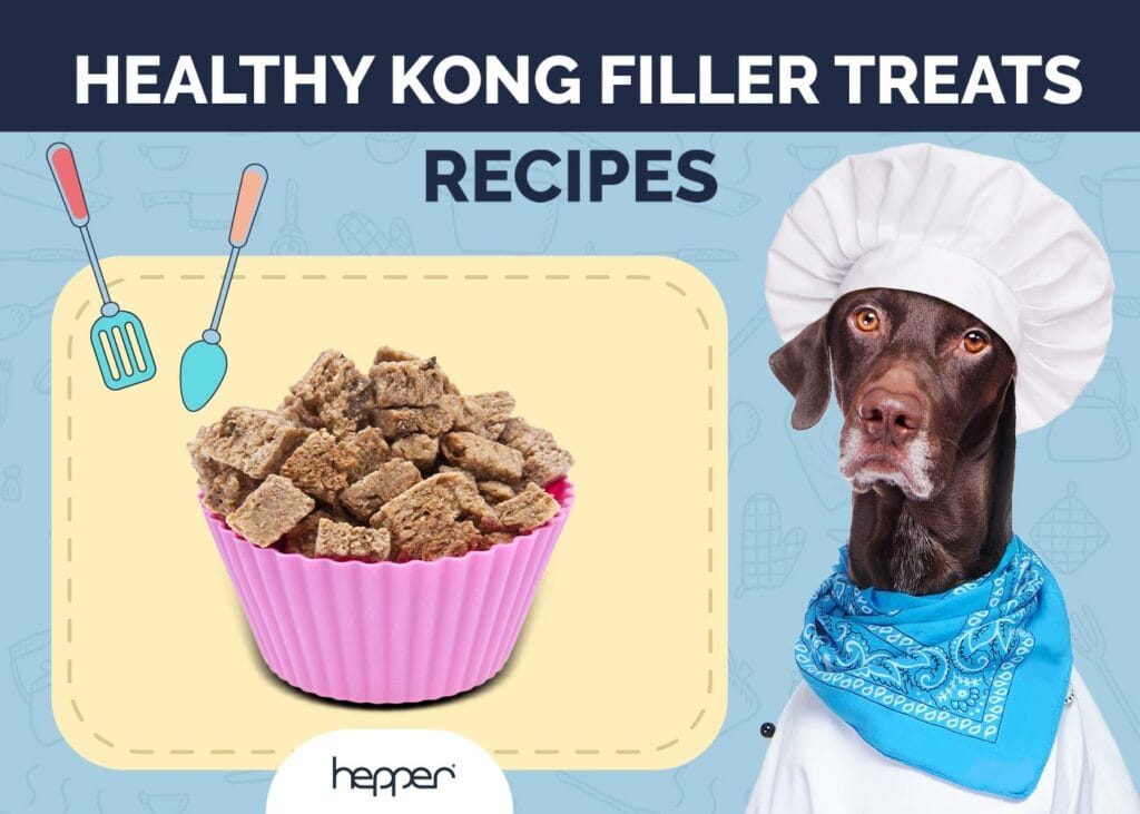 Healthy Kong Filler Treats