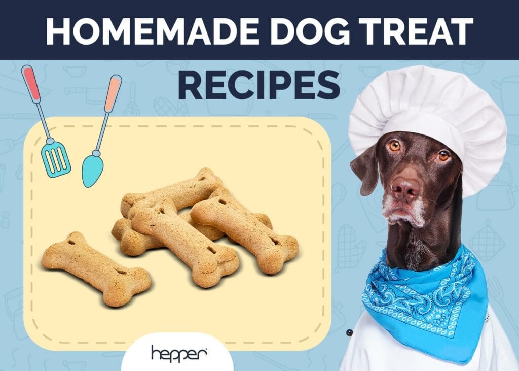 Homemade Dog Treat Recipes