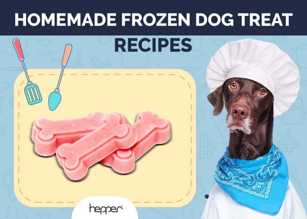 Frozen Dog Treat Recipes