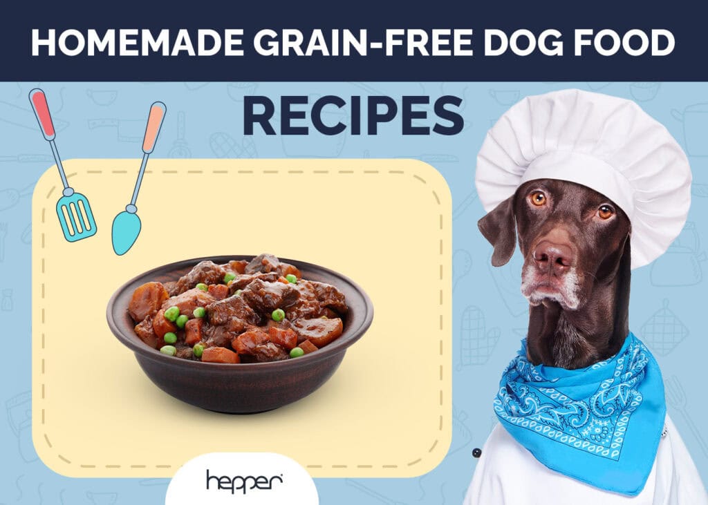 Grain-Free Dog Food Recipes Every Dog Will Love