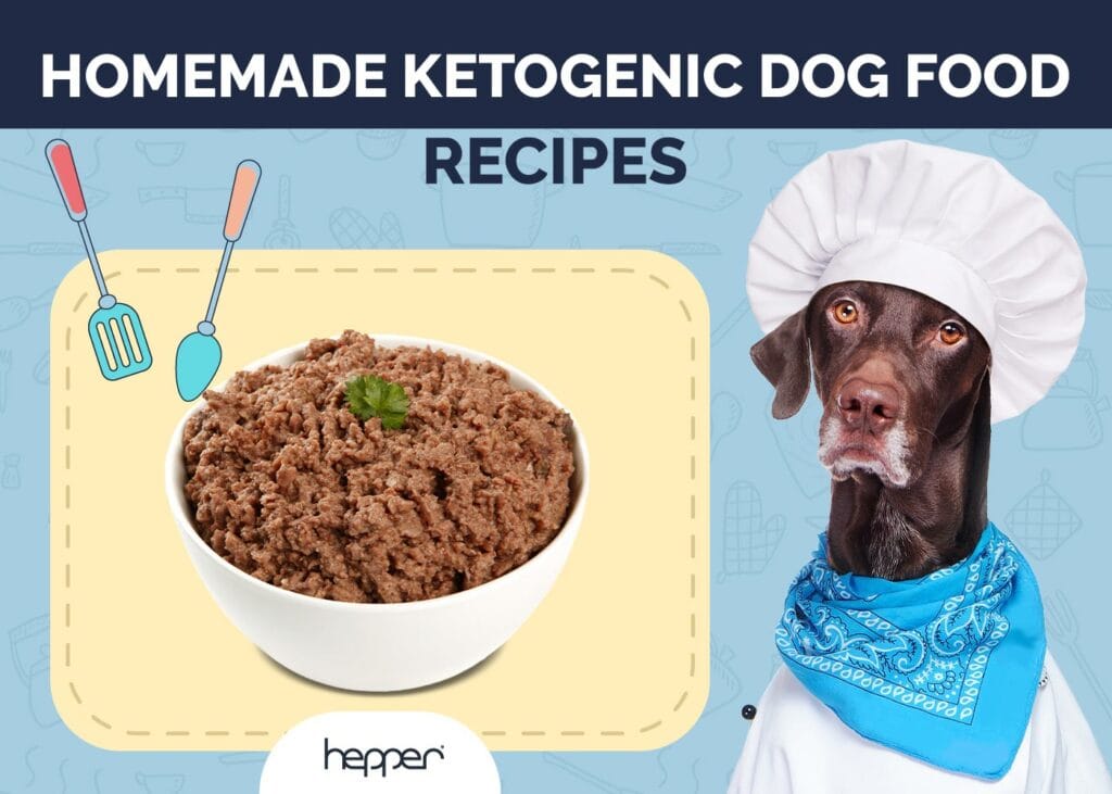 Homemade Ketogenic Dog Food Recipes